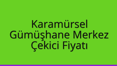 Karamürsel Çekici Fiyatı – Gümüşhane Merkez Oto Kurtarıcı Ücreti