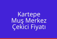 Kartepe Çekici Fiyatı – Muş Merkez Oto Kurtarıcı Ücreti