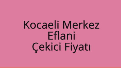 Kocaeli Merkez Çekici Fiyatı - Eflani Oto Kurtarıcı Ücreti Kocaeli Merkez Çekici Fiyatı – Eflani Oto Kurtarıcı Ücreti