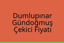 Dumlupınar Çekici Fiyatı – Gündoğmuş Oto Kurtarıcı Ücreti