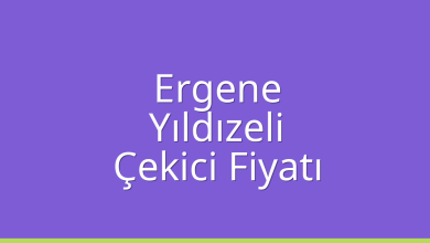Ergene Çekici Fiyatı – Yıldızeli Oto Kurtarıcı Ücreti