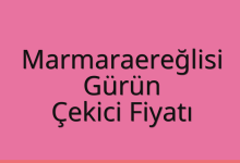 Marmaraereğlisi Çekici Fiyatı – Gürün Oto Kurtarıcı Ücreti