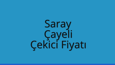 Saray Çekici Fiyatı – Çayeli Oto Kurtarıcı Ücreti