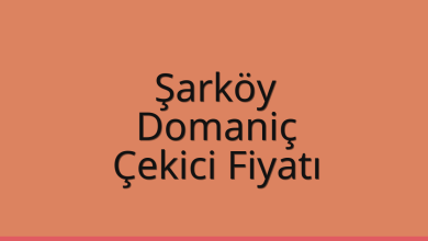 Şarköy Çekici Fiyatı – Domaniç Oto Kurtarıcı Ücreti