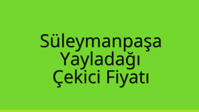 Süleymanpaşa Çekici Fiyatı – Yayladağı Oto Kurtarıcı Ücreti