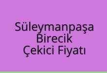 Süleymanpaşa Çekici Fiyatı – Birecik Oto Kurtarıcı Ücreti
