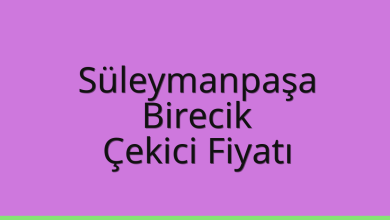 Süleymanpaşa Çekici Fiyatı – Birecik Oto Kurtarıcı Ücreti