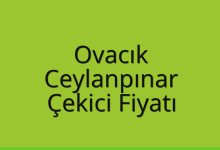 Ovacık Çekici Fiyatı – Ceylanpınar Oto Kurtarıcı Ücreti
