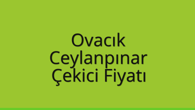 Ovacık Çekici Fiyatı – Ceylanpınar Oto Kurtarıcı Ücreti
