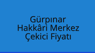 Gürpınar Çekici Fiyatı – Hakkâri Merkez Oto Kurtarıcı Ücreti