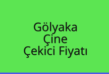 Gölyaka Çekici Fiyatı – Çine Oto Kurtarıcı Ücreti
