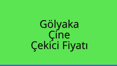 Gölyaka Çekici Fiyatı – Çine Oto Kurtarıcı Ücreti