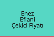 Enez Çekici Fiyatı – Eflani Oto Kurtarıcı Ücreti