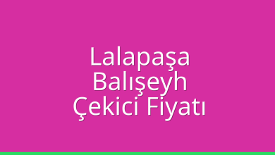 Lalapaşa Çekici Fiyatı – Balışeyh Oto Kurtarıcı Ücreti