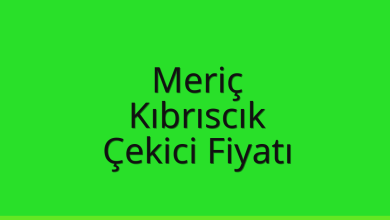 Meriç Çekici Fiyatı – Kıbrıscık Oto Kurtarıcı Ücreti
