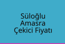 Süloğlu Çekici Fiyatı – Amasra Oto Kurtarıcı Ücreti