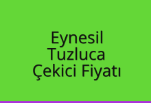 Eynesil Çekici Fiyatı – Tuzluca Oto Kurtarıcı Ücreti