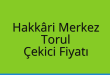Hakkâri Merkez Çekici Fiyatı – Torul Oto Kurtarıcı Ücreti