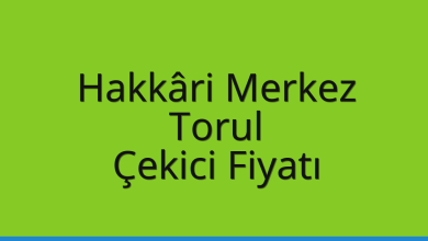 Hakkâri Merkez Çekici Fiyatı – Torul Oto Kurtarıcı Ücreti