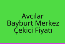Avcılar Çekici Fiyatı – Bayburt Merkez Oto Kurtarıcı Ücreti