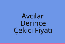 Avcılar Çekici Fiyatı – Derince Oto Kurtarıcı Ücreti