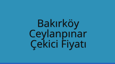 Bakırköy Çekici Fiyatı – Ceylanpınar Oto Kurtarıcı Ücreti