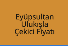 Eyüpsultan Çekici Fiyatı – Ulukışla Oto Kurtarıcı Ücreti