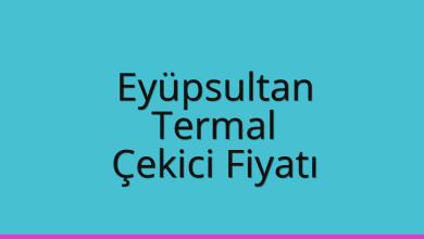 Eyüpsultan Çekici Fiyatı – Termal Oto Kurtarıcı Ücreti