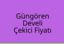 Güngören Çekici Fiyatı – Develi Oto Kurtarıcı Ücreti