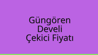 Güngören Çekici Fiyatı – Develi Oto Kurtarıcı Ücreti