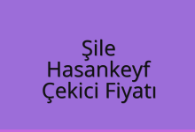 Şile Çekici Fiyatı – Hasankeyf Oto Kurtarıcı Ücreti