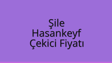 Şile Çekici Fiyatı – Hasankeyf Oto Kurtarıcı Ücreti