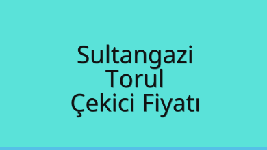 Sultangazi Çekici Fiyatı - Torul Oto Kurtarıcı Ücreti Sultangazi Çekici Fiyatı – Torul Oto Kurtarıcı Ücreti