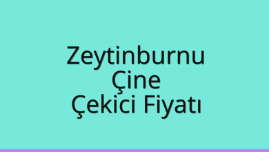 Zeytinburnu Çekici Fiyatı – Çine Oto Kurtarıcı Ücreti