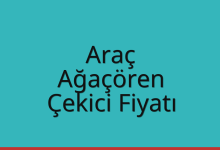 Araç Çekici Fiyatı – Ağaçören Oto Kurtarıcı Ücreti