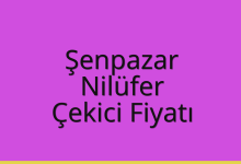 Şenpazar Çekici Fiyatı – Nilüfer Oto Kurtarıcı Ücreti
