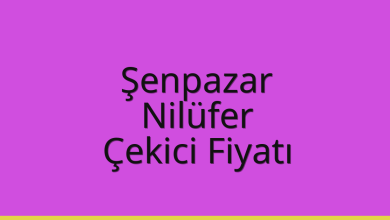 Şenpazar Çekici Fiyatı – Nilüfer Oto Kurtarıcı Ücreti
