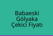 Babaeski Çekici Fiyatı – Gölyaka Oto Kurtarıcı Ücreti