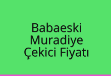Babaeski Çekici Fiyatı – Muradiye Oto Kurtarıcı Ücreti