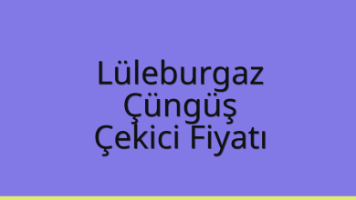 Lüleburgaz Çekici Fiyatı - Çüngüş Oto Kurtarıcı Ücreti Lüleburgaz Çekici Fiyatı – Çüngüş Oto Kurtarıcı Ücreti