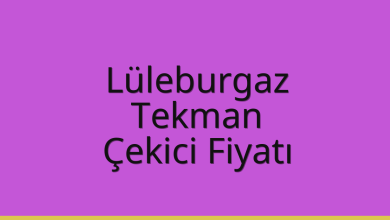 Lüleburgaz Çekici Fiyatı – Tekman Oto Kurtarıcı Ücreti
