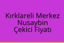 Kırklareli Merkez Çekici Fiyatı – Nusaybin Oto Kurtarıcı Ücreti