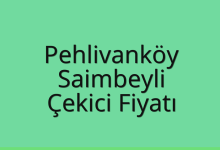 Pehlivanköy Çekici Fiyatı – Saimbeyli Oto Kurtarıcı Ücreti
