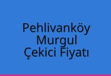 Pehlivanköy Çekici Fiyatı – Murgul Oto Kurtarıcı Ücreti