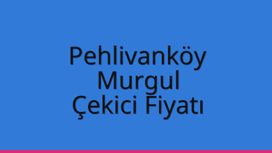 Pehlivanköy Çekici Fiyatı - Murgul Oto Kurtarıcı Ücreti Pehlivanköy Çekici Fiyatı – Murgul Oto Kurtarıcı Ücreti