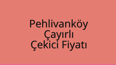 Pehlivanköy Çekici Fiyatı - Çayırlı Oto Kurtarıcı Ücreti Pehlivanköy Çekici Fiyatı – Çayırlı Oto Kurtarıcı Ücreti