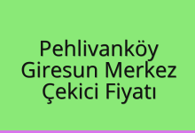 Pehlivanköy Çekici Fiyatı – Giresun Merkez Oto Kurtarıcı Ücreti