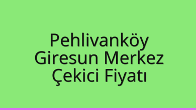 Pehlivanköy Çekici Fiyatı – Giresun Merkez Oto Kurtarıcı Ücreti