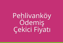 Pehlivanköy Çekici Fiyatı – Ödemiş Oto Kurtarıcı Ücreti