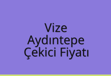 Vize Çekici Fiyatı – Aydıntepe Oto Kurtarıcı Ücreti